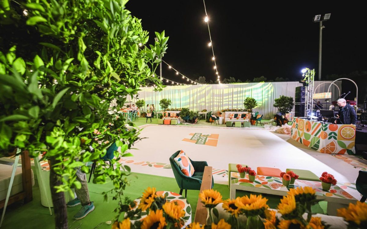 WhatsApp Image 2025-12-04 at 15.11.21